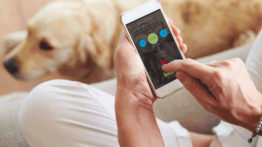 Paws and Power: National Puppy Day Apps for iPhone and Samsung Users, Enhanced with iSoft's Safe, Fast Charging Cables