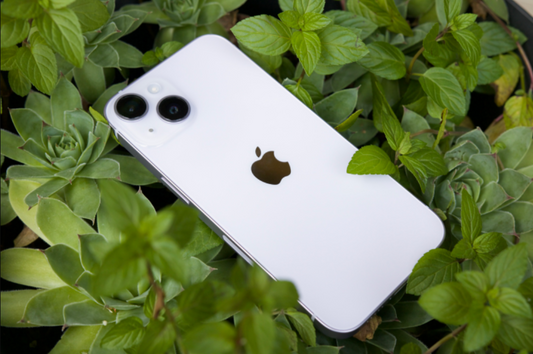 Are the iPhone 14 and iPhone 14 Pro waterproof? What you should know